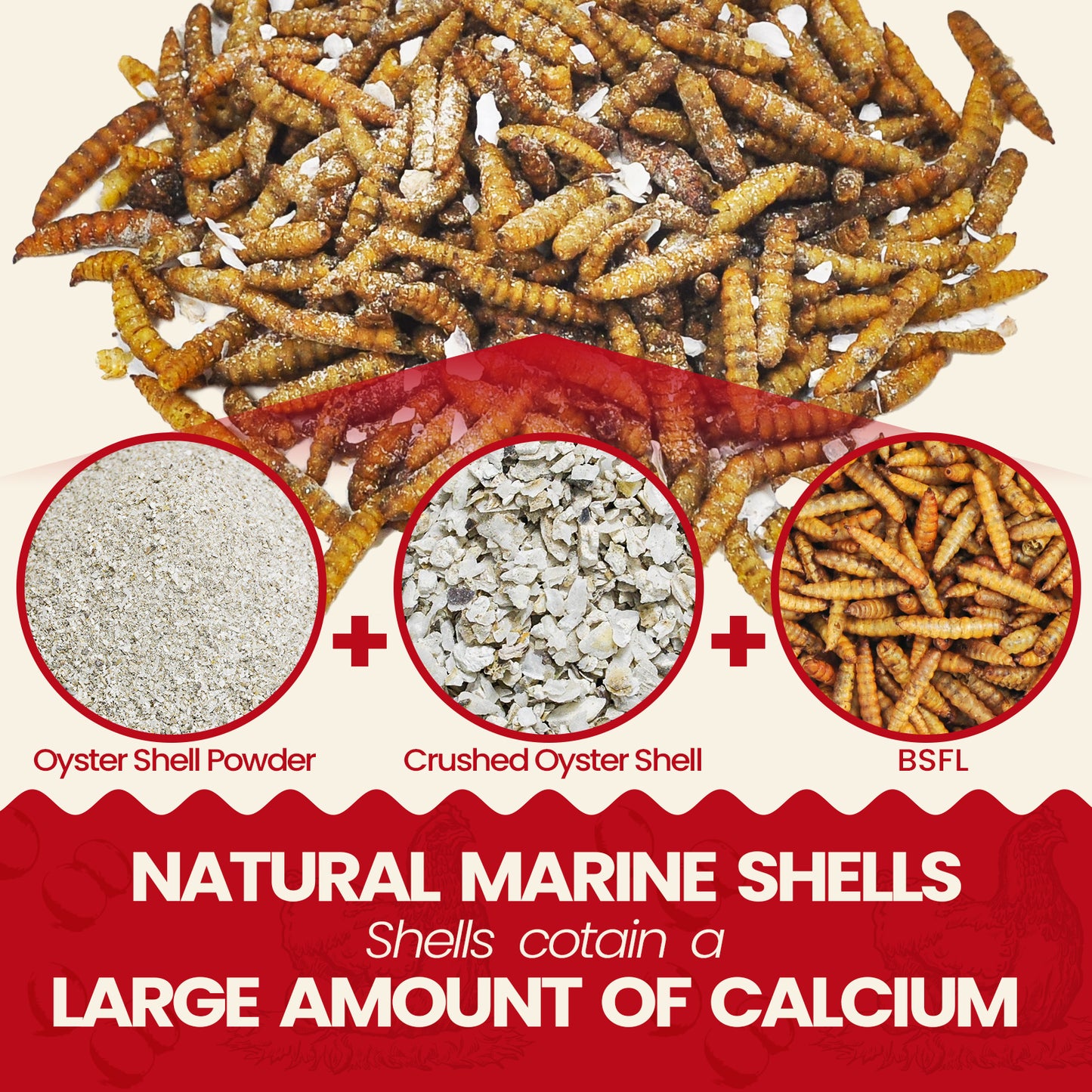 Calci Worms 5lbs