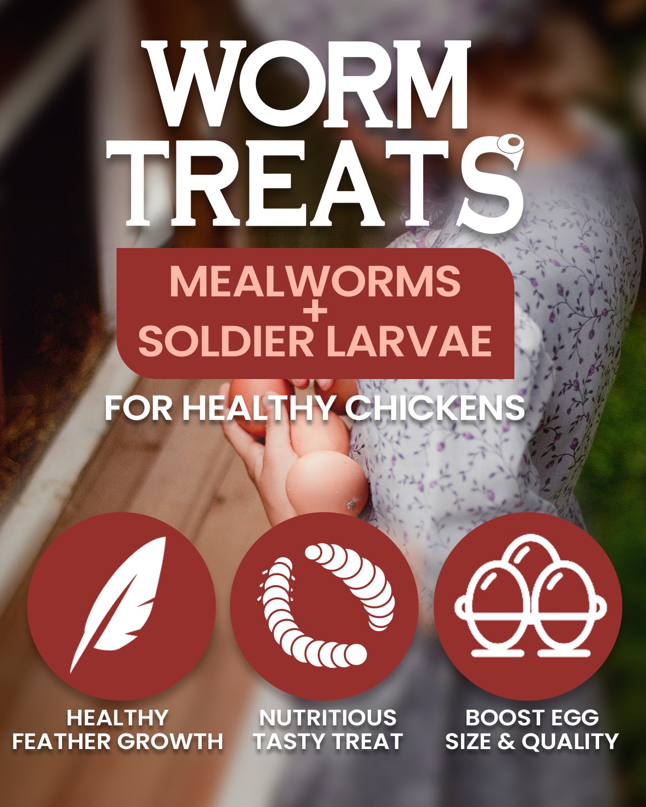 Mealworms Mix 5lbs