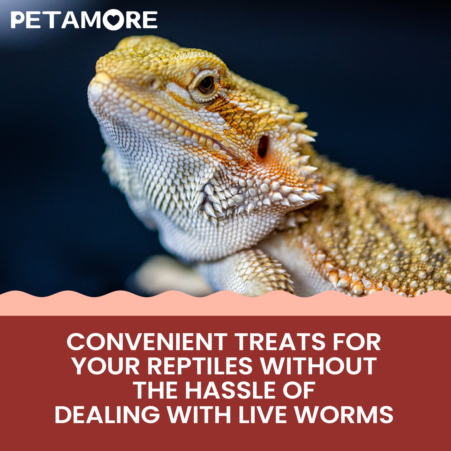Dried Mealworms and Black Soldier Fly Larvae Mix Treats 10lbs