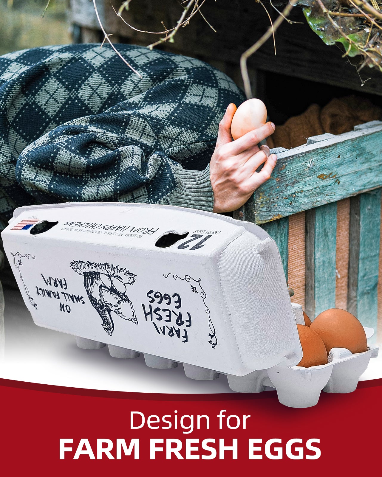 Adorable Printed Egg Cartons 36Pack
