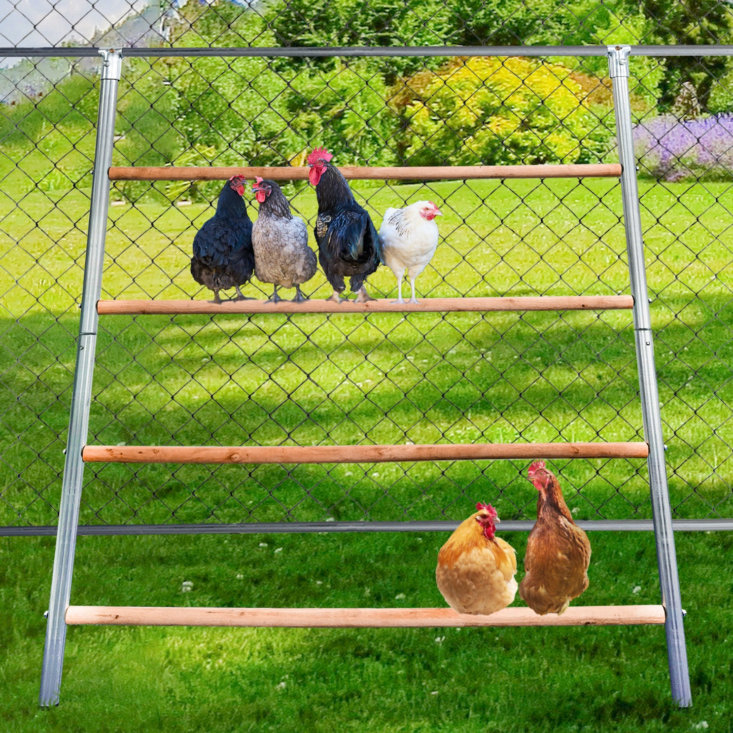 Chicken Roosting Bars