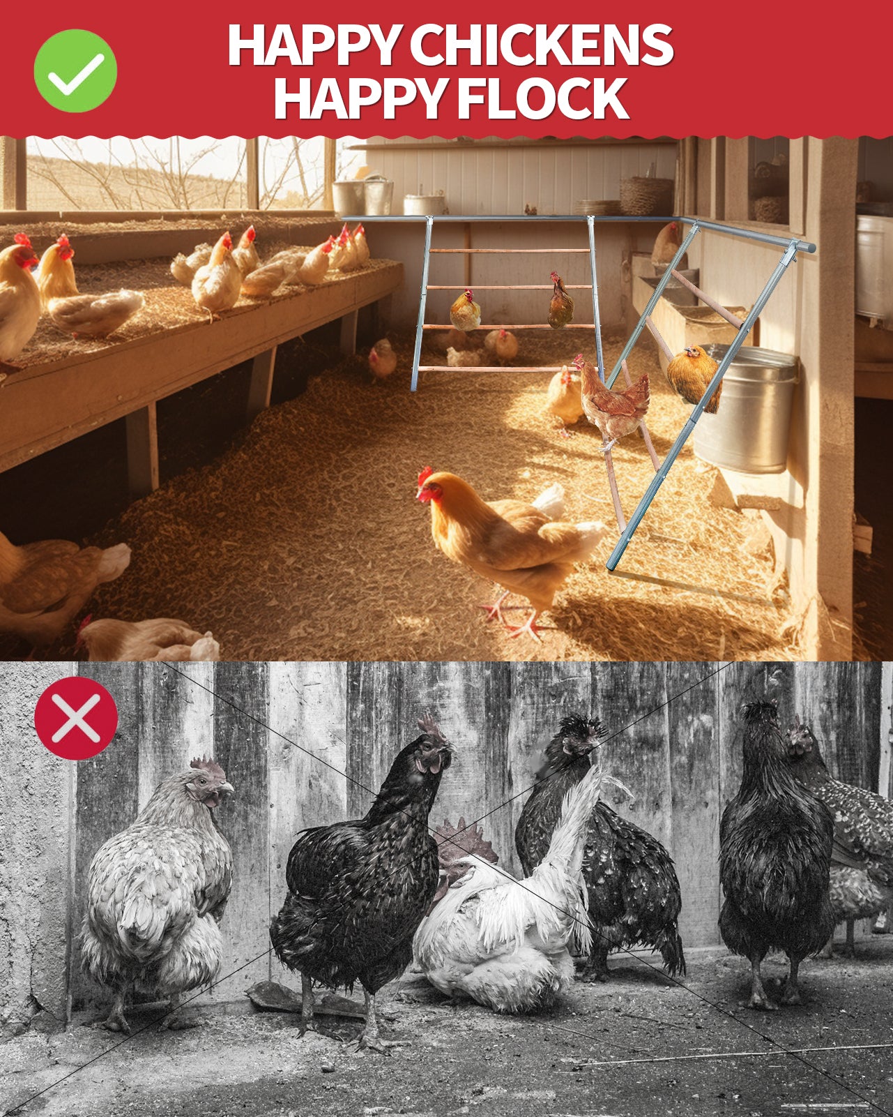 Chicken Roosting Bars