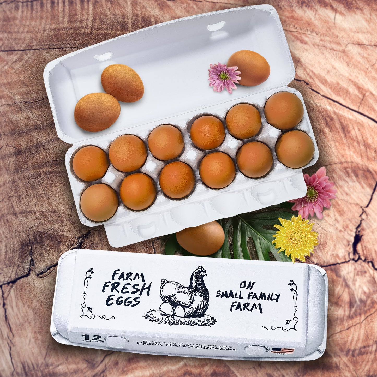 Adorable Printed Egg Cartons 36Pack