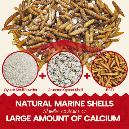 Calci Worms 5lbs