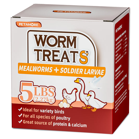 Mealworms Mix 5lbs