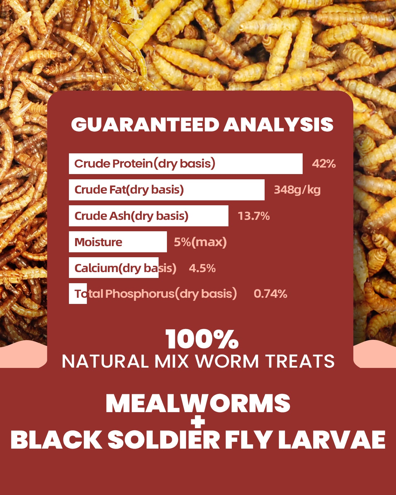 Mealworms Mix 5lbs