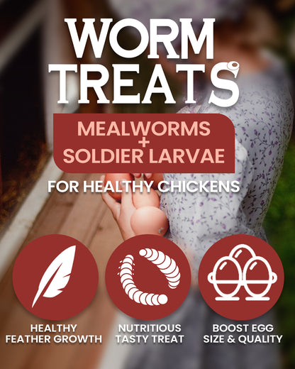 Mealworms Mix 5lbs