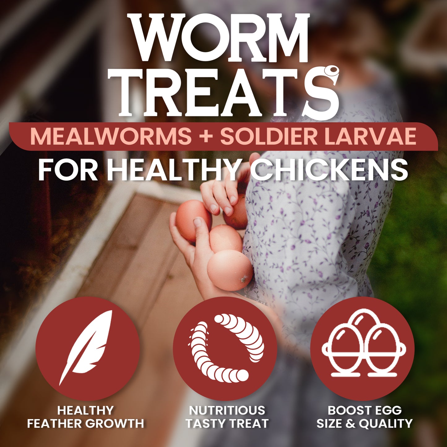 Dried Mealworms and Black Soldier Fly Larvae Mix Treats 10lbs
