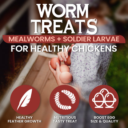Dried Mealworms and Black Soldier Fly Larvae Mix Treats 10lbs