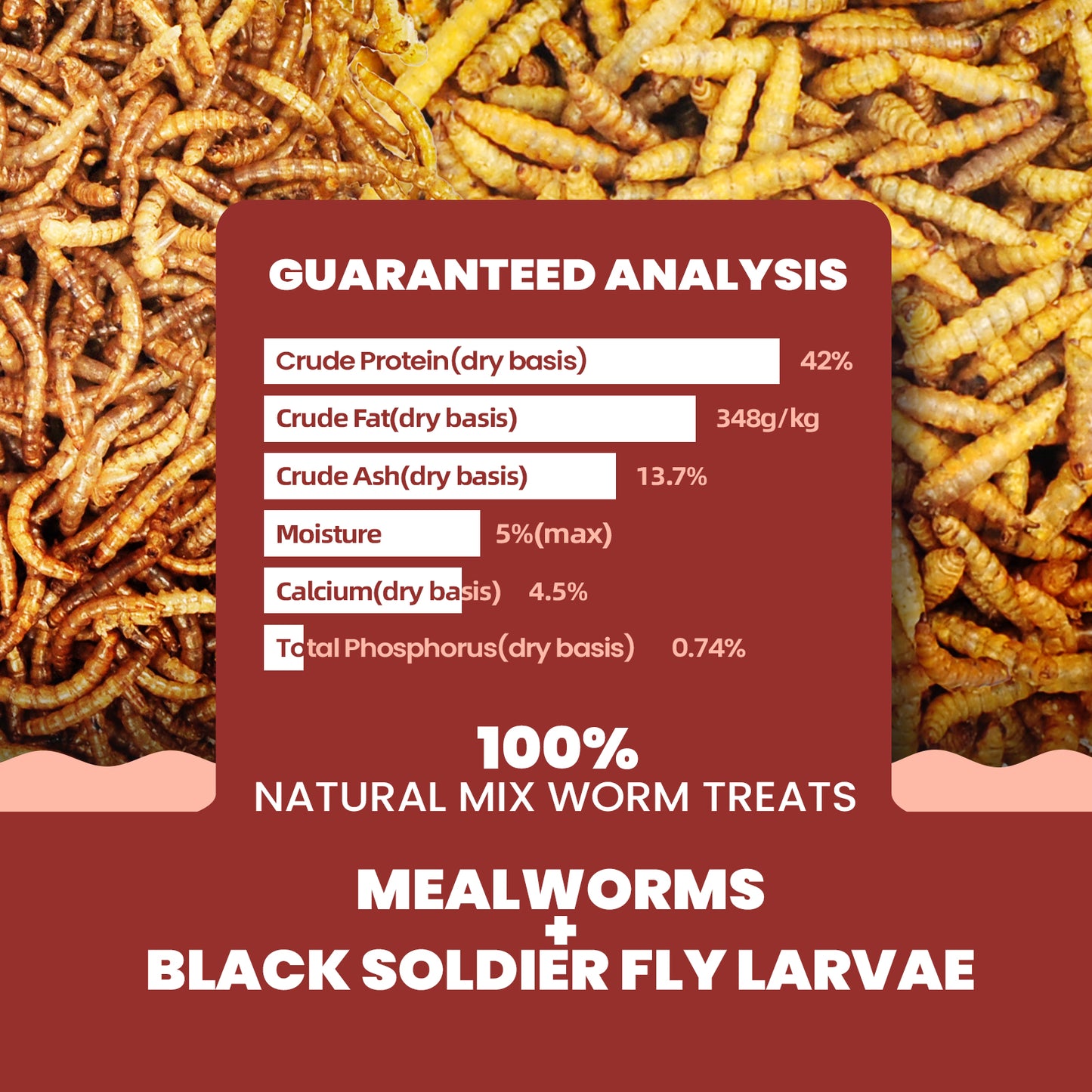 Dried Mealworms and Black Soldier Fly Larvae Mix Treats 10lbs