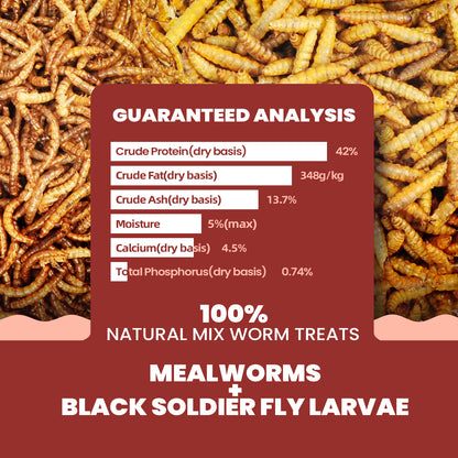 Dried Mealworms and Black Soldier Fly Larvae Mix Treats 10lbs