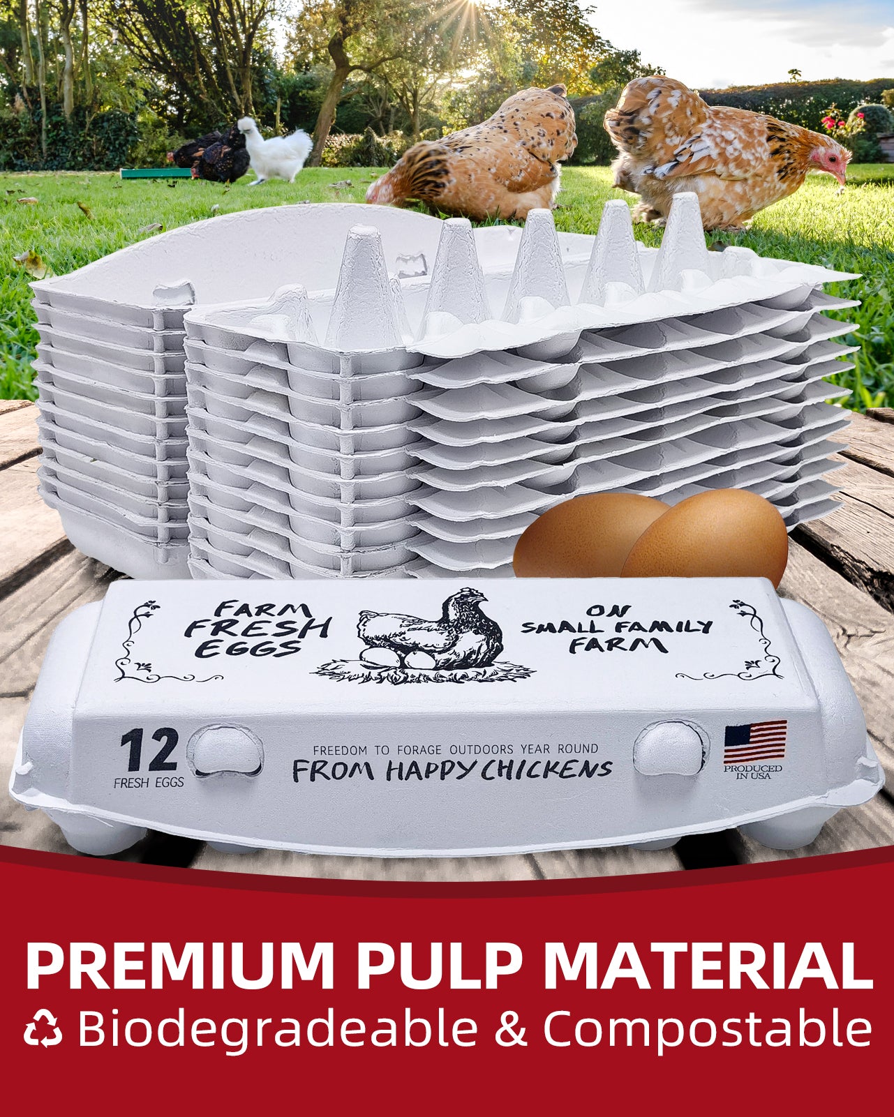 Adorable Printed Egg Cartons 36Pack