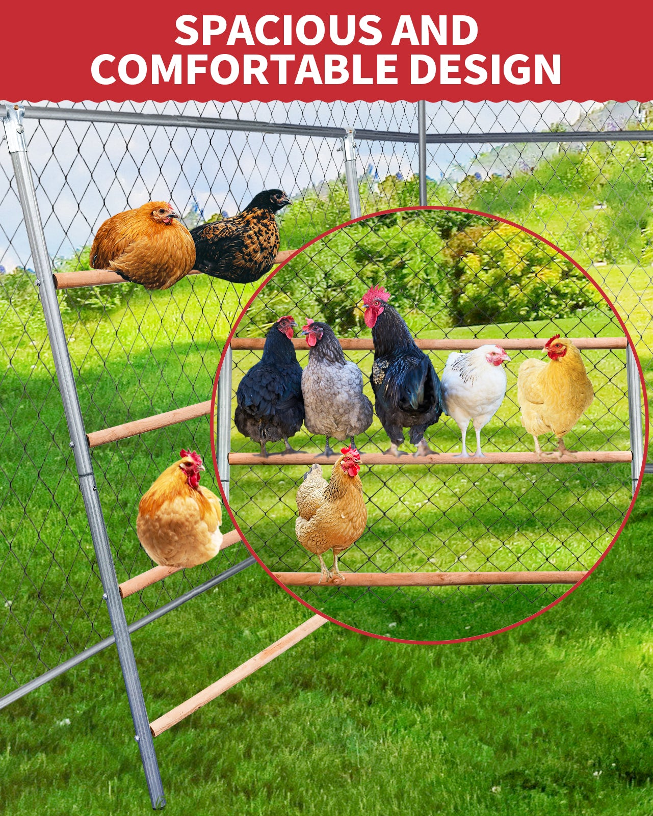 Chicken Roosting Bars 2pack – petamore